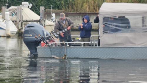 St. Joseph river salmon fishing 2024